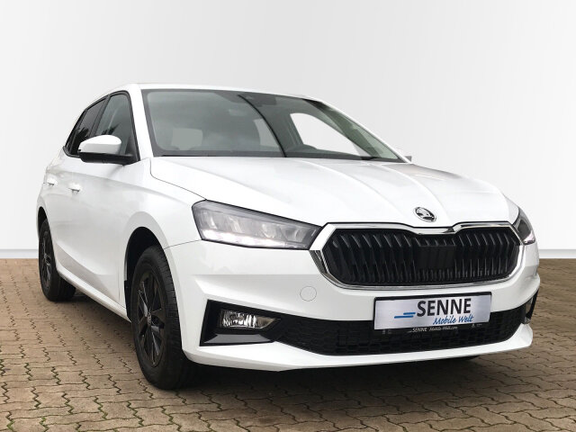 Fabia 1.0 MPI Selection LED, Kamera, Garantie BC