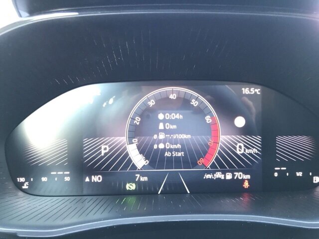 Fabia 1.0 TSI DSG Selection, LED, Kamera, Sitzh.
