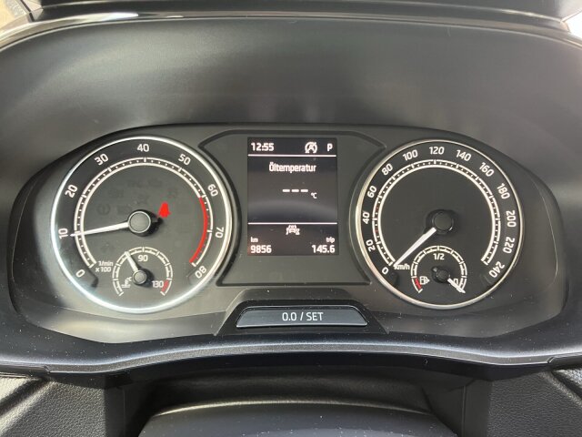 Fabia 1.0 TSI DSG Amb. LED, Sitzh. PDC, Garantie