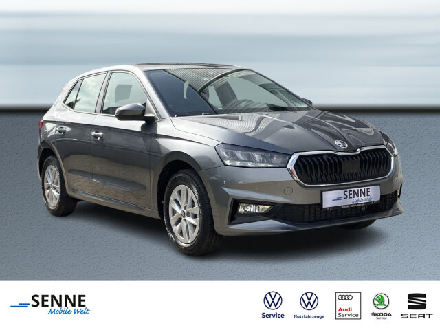 Fabia 1.0 TSI Selection LED,Sizh.,Garantie Klima